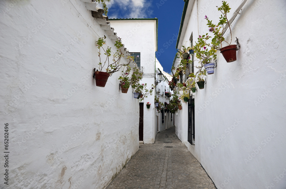 Fototapeta premium Street scene with pots of flower in the wall, Cordoba, Andalusia