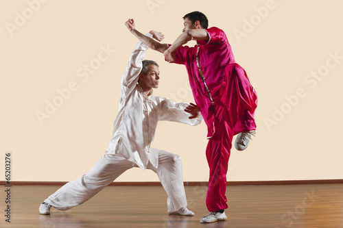 Fototapeta Kung Fu,Changquan,Duilian,Lange Faust Style,zwei Männer,die Kung- Fu-Bewegungen