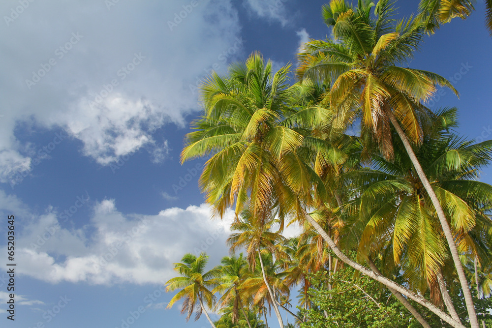 Fototapeta premium Niebo nad Karaibami