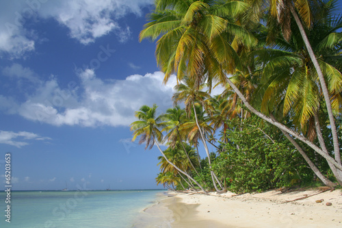 Caribbean beach