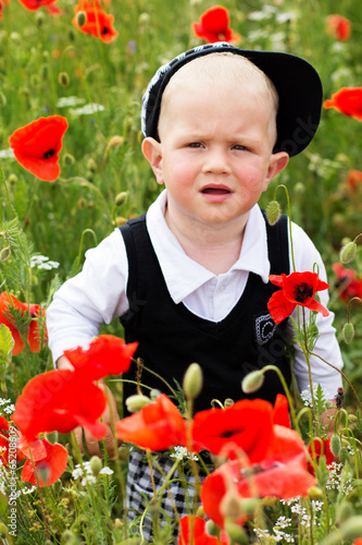 Cute little boy in poppy field