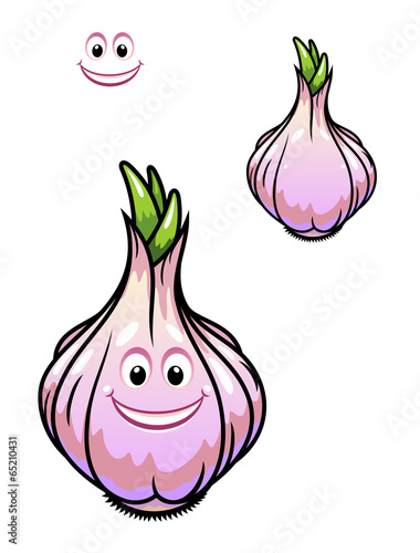 Sprouting fresh garlic bulb