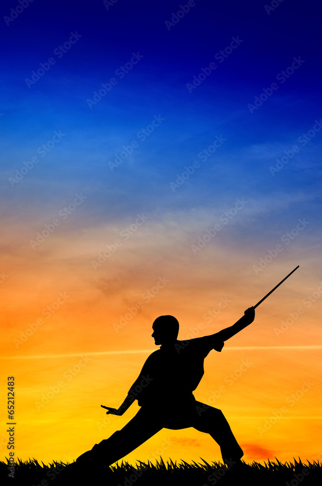 Shaolin pose at sunset