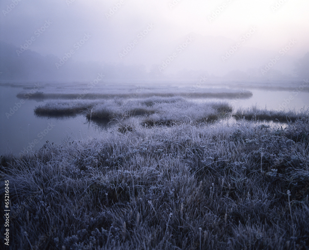 The image of beautiful nature The image of beautiful nature