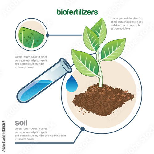 plant and fertilizer