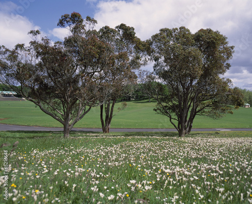 Wallpaper Mural The image of landscape Torontodigital.ca