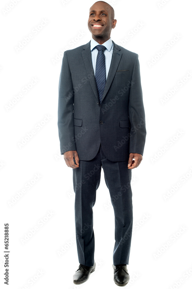 African businessman isolated on white African businessman isolated on white