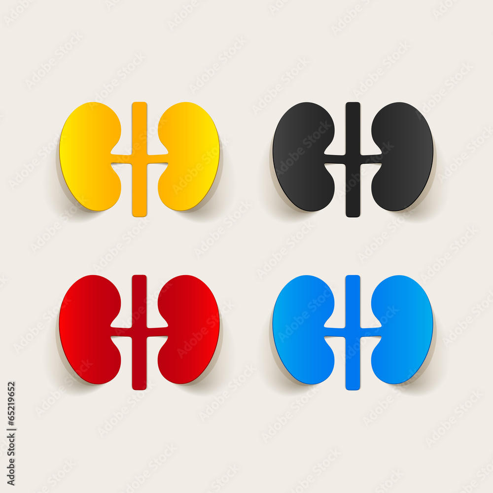 Fototapeta premium realistic design element: kidneys, medical
