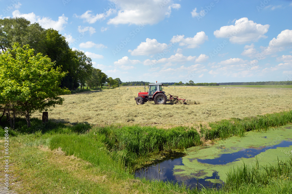 Naklejka premium A farm tractor pulling a hay rake in a field to clew the grass