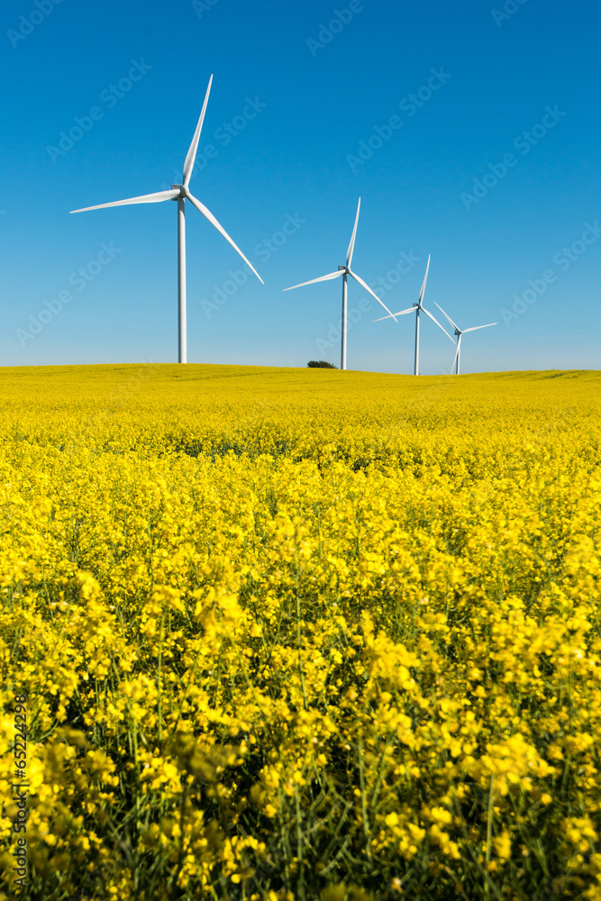 Windkraft, Windrad, Windenergie, Strom, Ökostrom, . Windkraft, Windrad, Windenergie, Strom, Ökostrom, .
