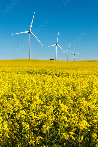 Windkraft, Windrad, Windenergie, Strom, Ökostrom, . © stipi