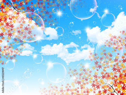 もみじ　紅葉　風景