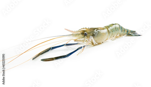 Close up prawn or raw shrimp isolated