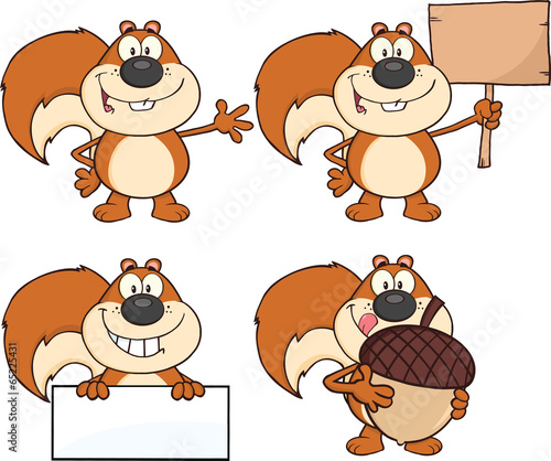 Squirrel Cartoon Mascot Character