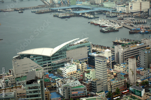 View from Busan Tower  Busan  Korean Republic