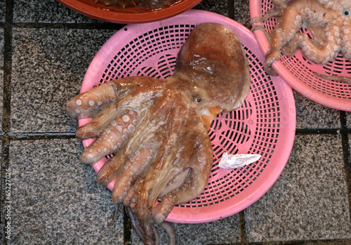 Octopus at Jagalchi Fish Market, Busan, Korean Republic photo