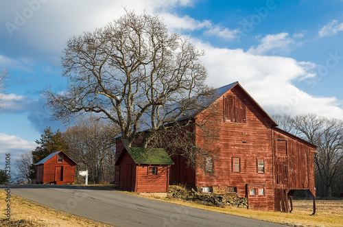 Tablou pe pânză Old Red Barns and Tree on Country Road.