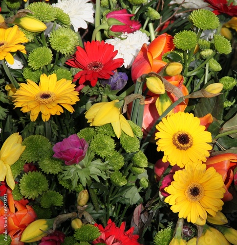 Bunte Blumen zum Abschied