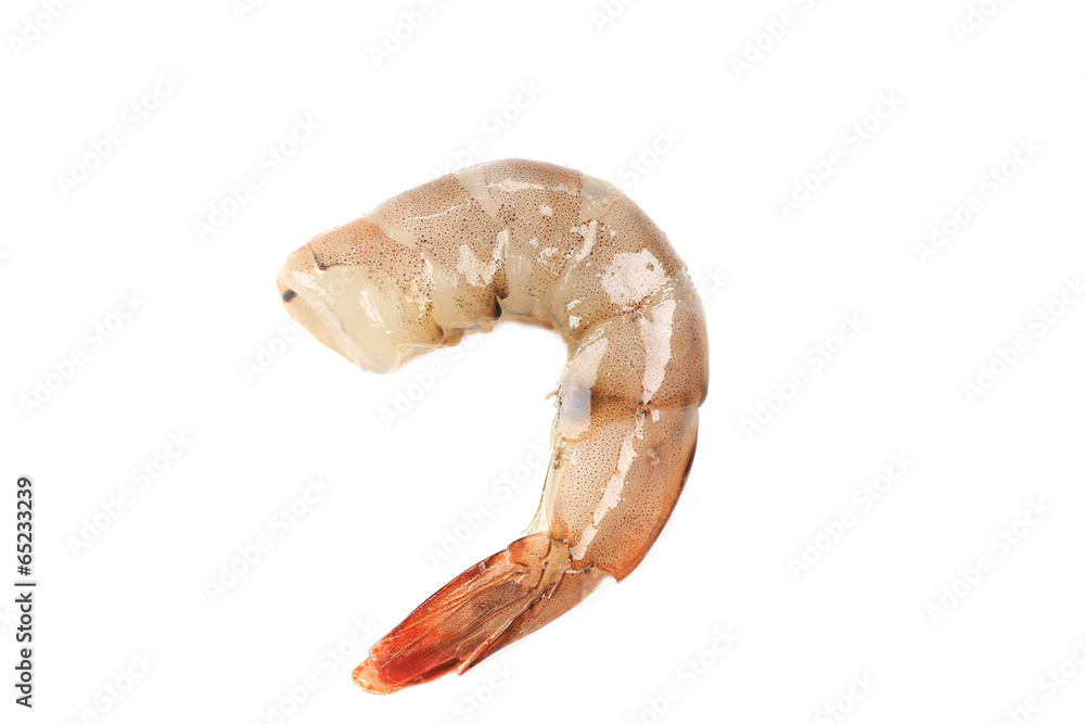 Fototapeta premium One raw shrimp.