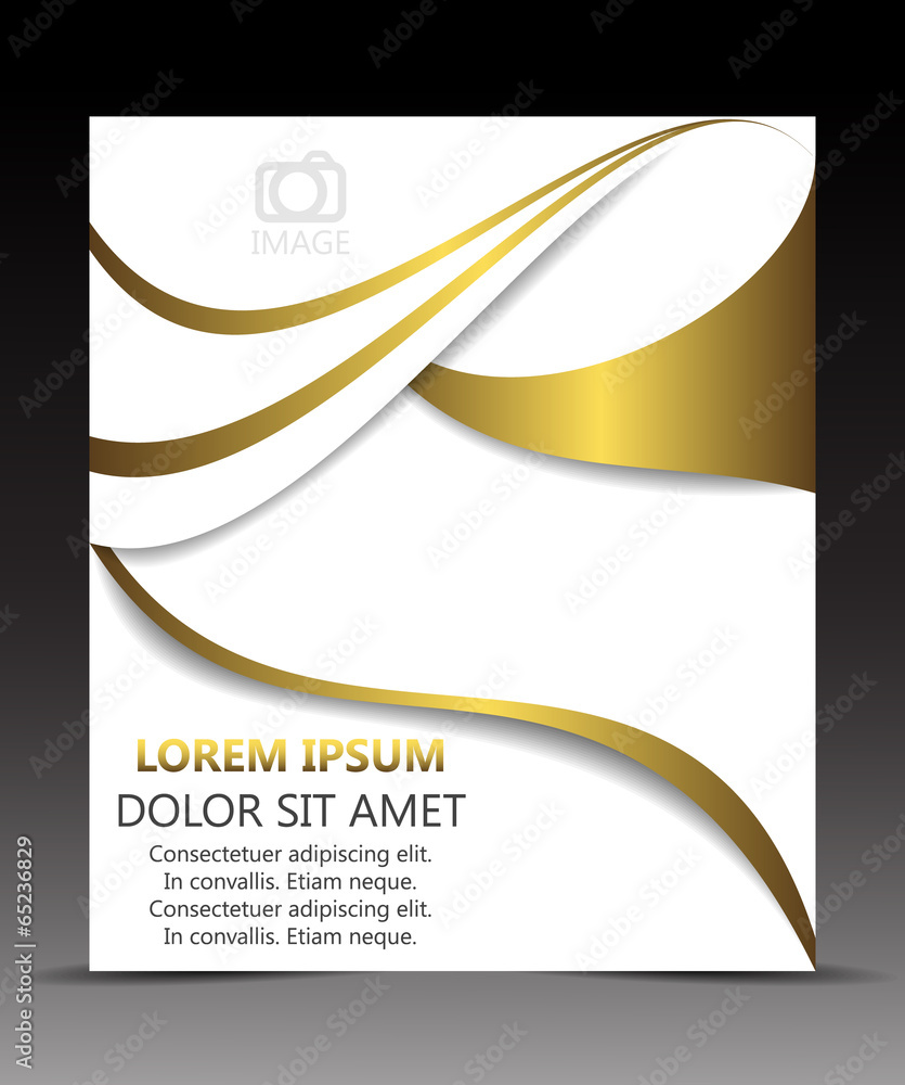 Fototapeta premium Business flyer template or corporate banner