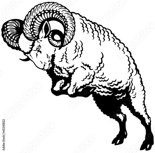 ram black white