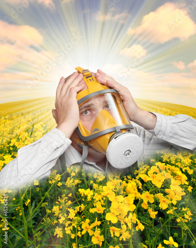 Unhappy man in protection mask in a rape field. Allergy concept. photo