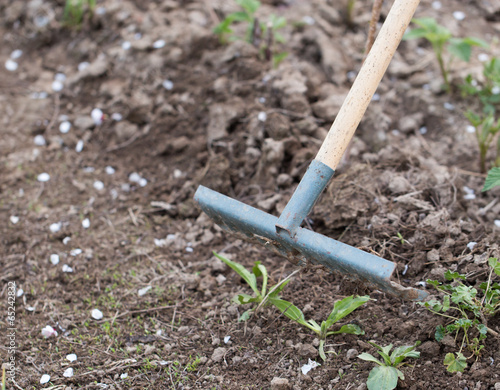 rake in the garden