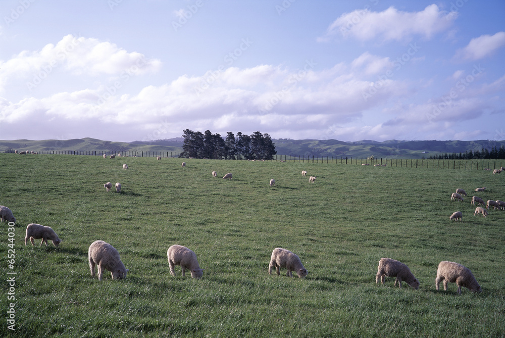 Fototapeta premium The image of landscape