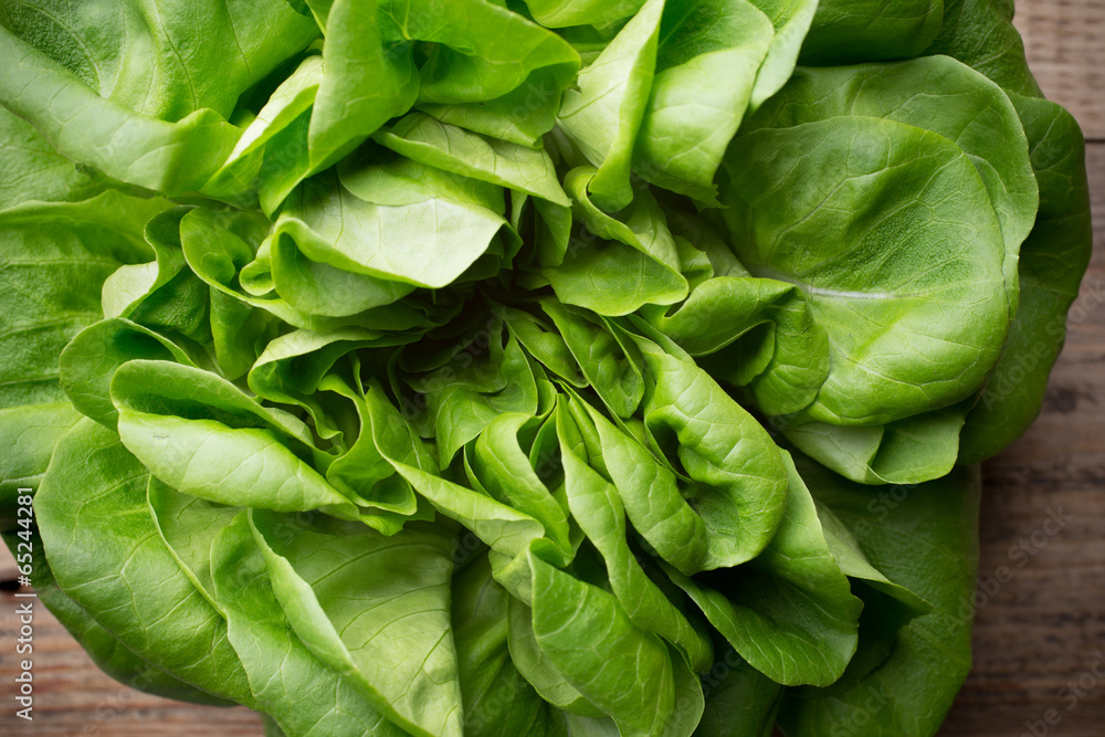 Fototapeta premium Lettuce.
