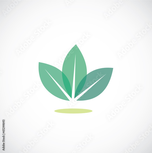 leaves icon vector