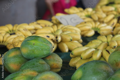 Guyane - Cacao - Mai 2014