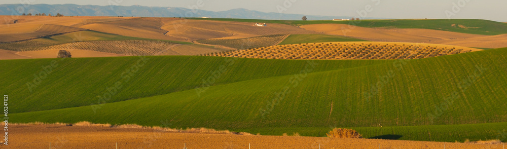 Andalusian countryside