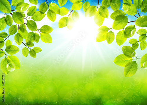Solar day