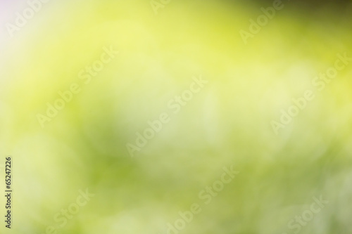 abstract bokeh background of nature photo