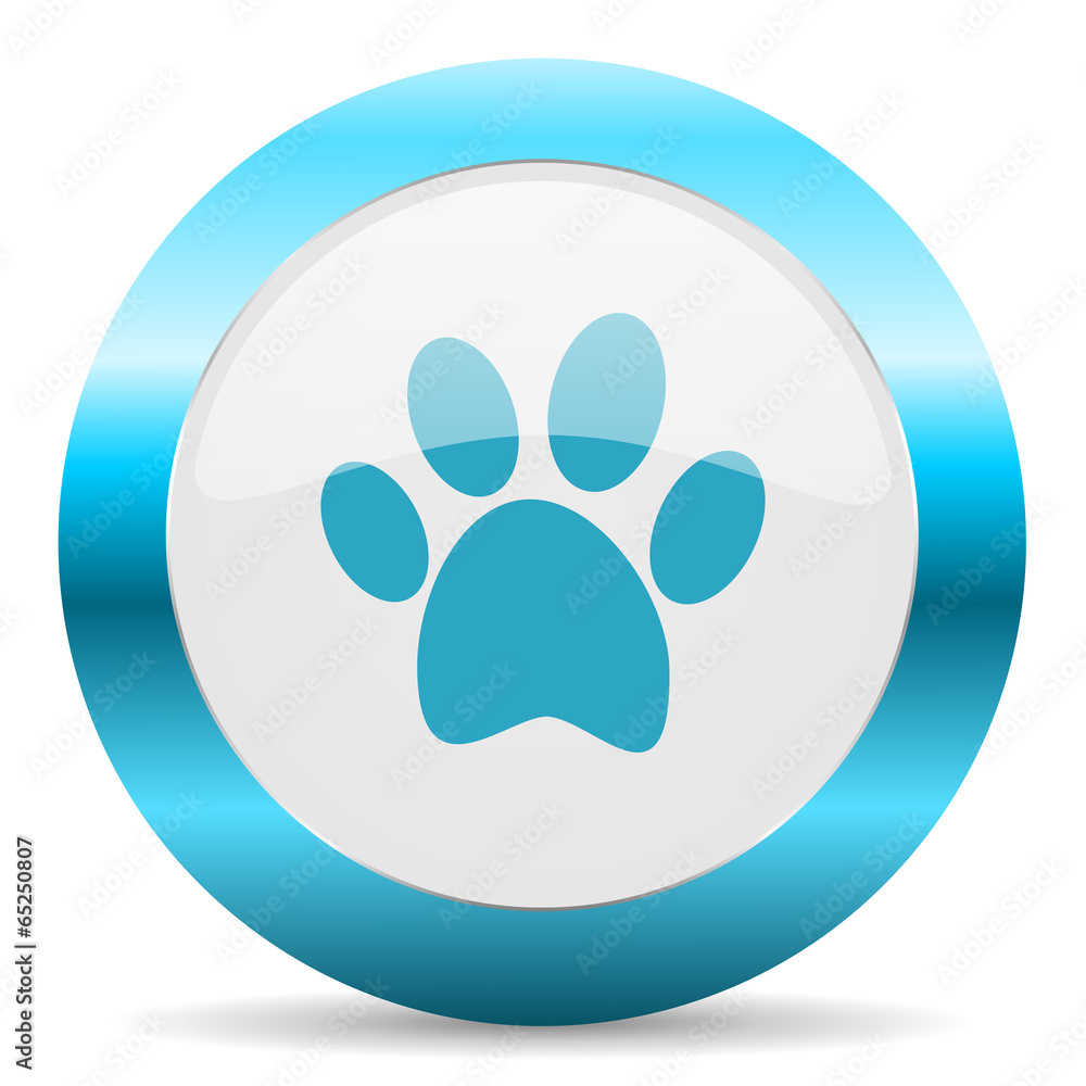 foot blue glossy icon