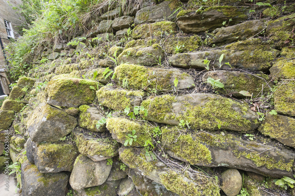 Dry stone wall covered in moss and vegetation Dry stone wall covered in moss and vegetation
