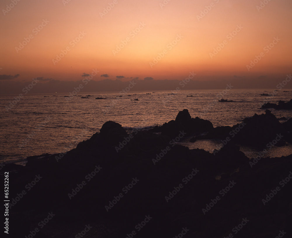 Fototapeta premium The image of beautiful nature