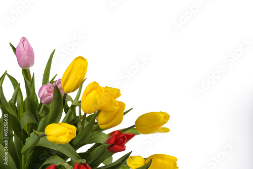 Colorful bouquet of fresh spring tulip flowers isolated on white