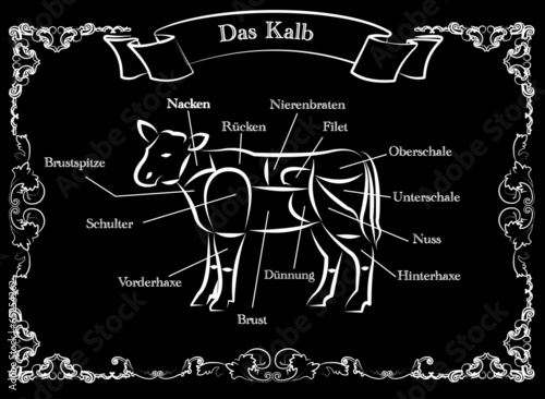 Teile des Kalbes