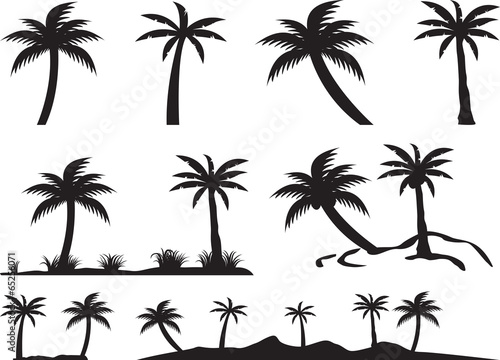 Palm trees and islands illustrated on white