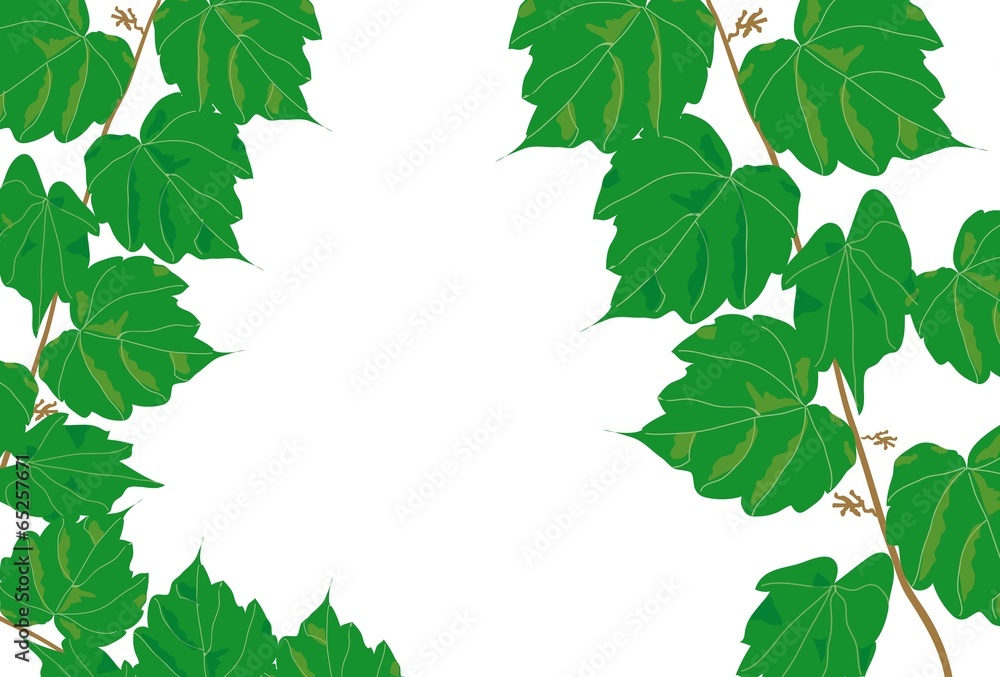 蔦の葉のお洒落なpopカード Stock イラスト Adobe Stock