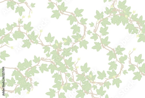蔦の緑の葉のアイビー背景画像
