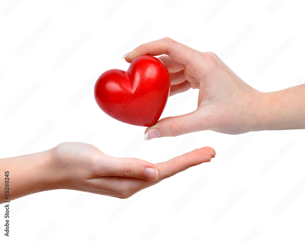heart in hand isolated on white heart in hand isolated on white