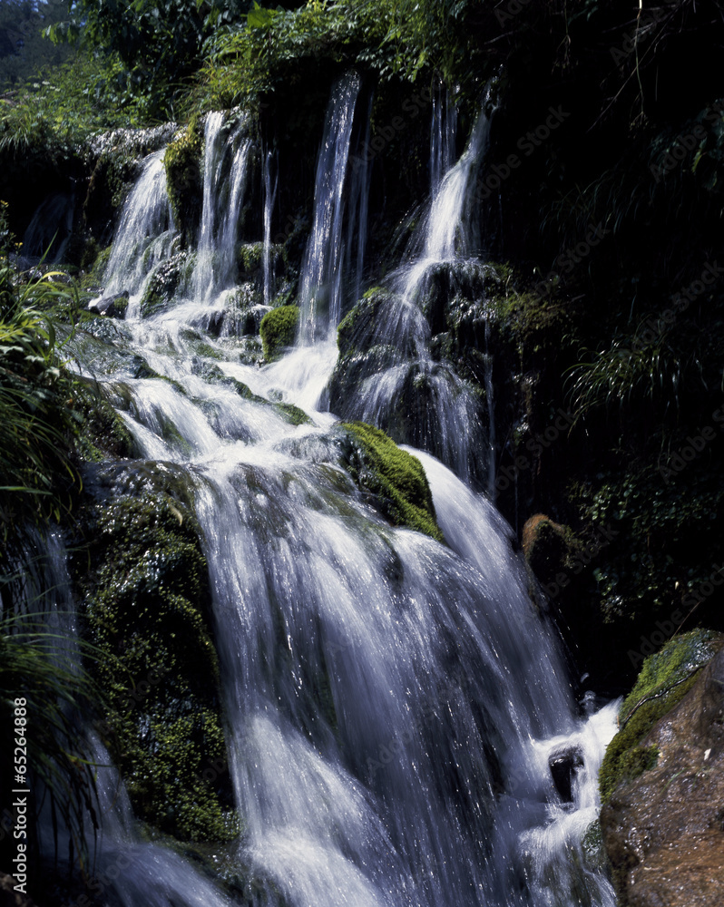 Fototapeta premium The image of landscape