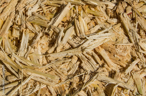 Photos Sugar cane bagasse