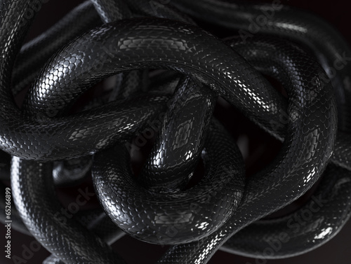 Black Snakes Abstract Background photo