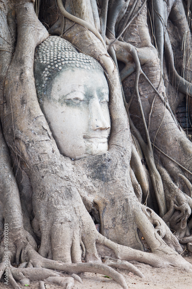Head of Sandstone Buddha