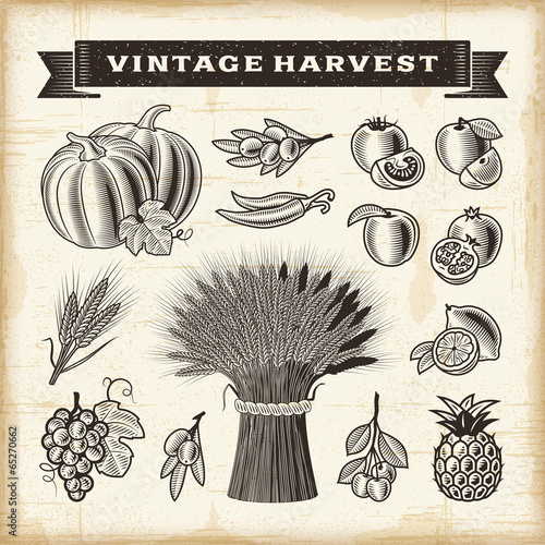 Vintage harvest set