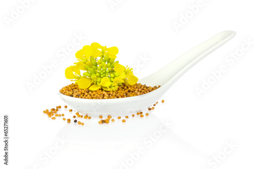 Seed and flower of mustard   in porcelain spoon isolated on