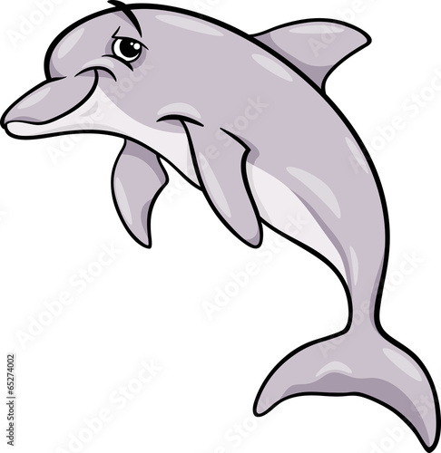 dolphin animal cartoon illustration